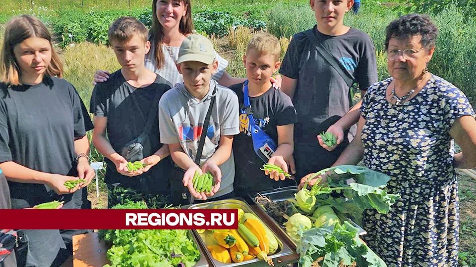 Фото: Андрей Семибратов