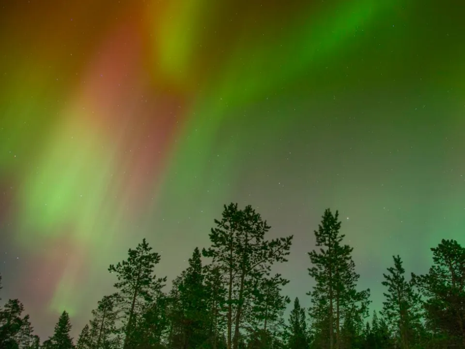 Фото: pxhere.com