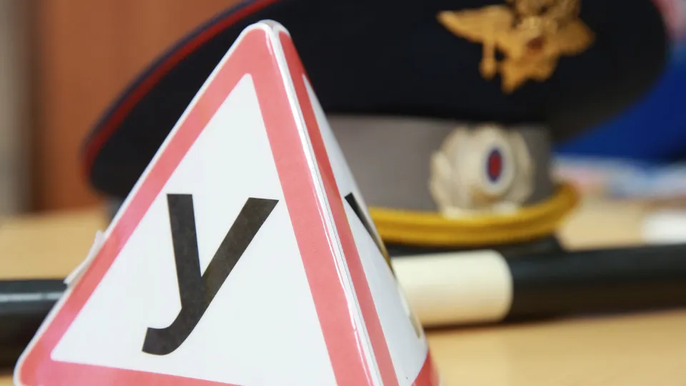 Фото: ТАСС/Сергей Фадеичев