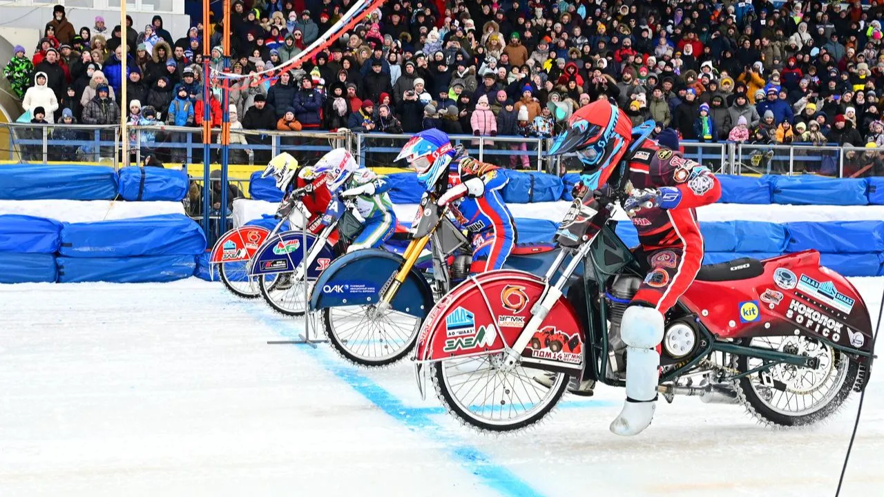 Фото: пресс-служба администрации г.о. Красногорск