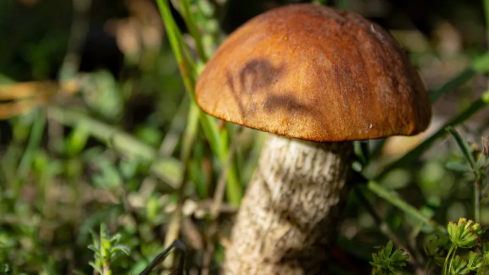 Фото: istockphoto.com