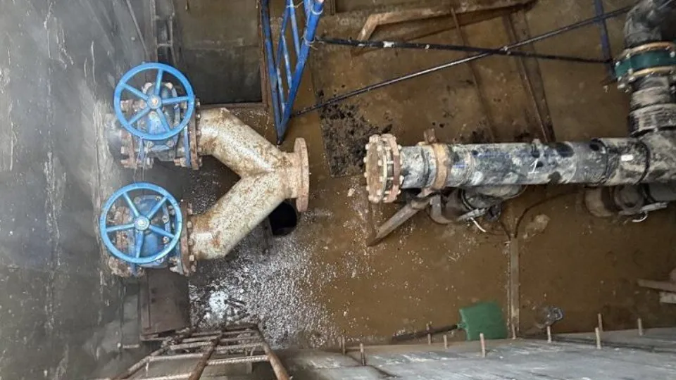 Фото: Министерство экологии и природопользования Московской области