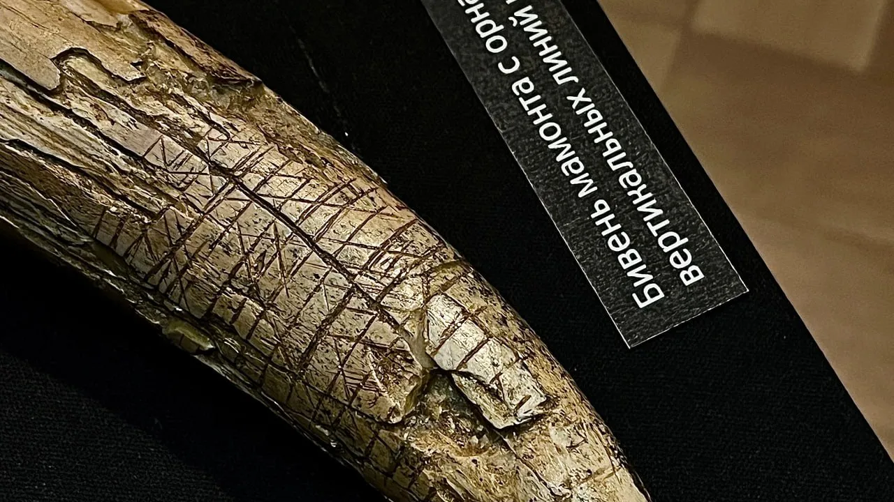 Фото: ГМЗ «Зарайский кремль».