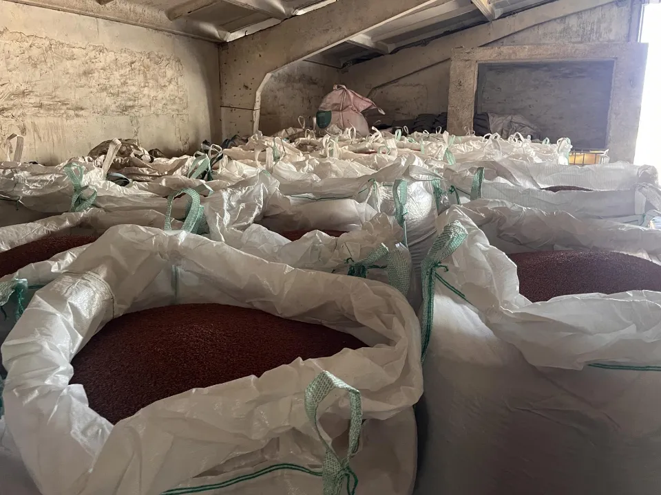 Фото: МедиаБанк Подмосковья/Ангелина Стельмух