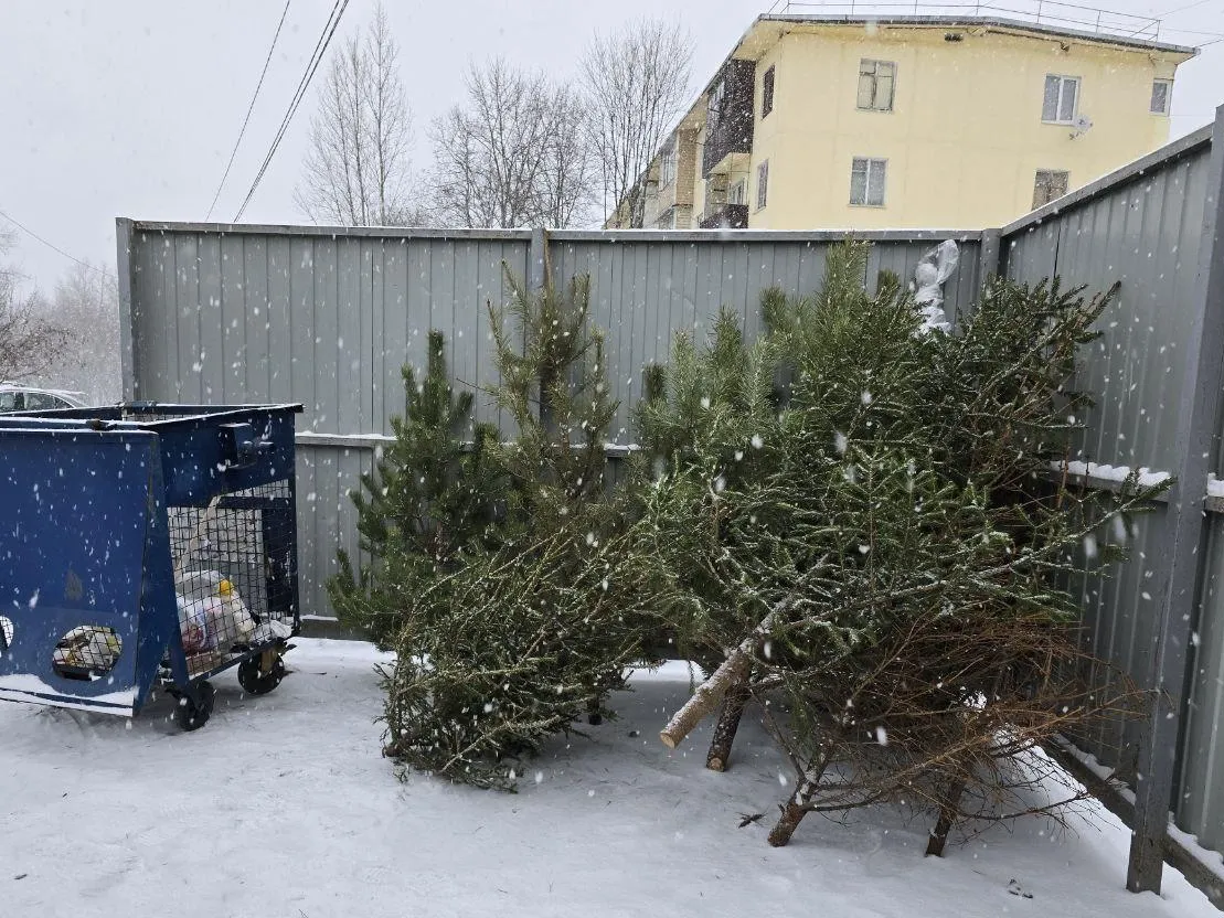 Фото: REGIONS/Яна Шалиевская