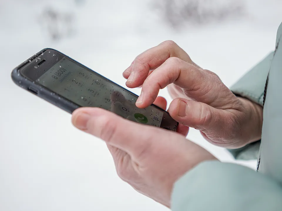 Фото: медиасток.рф