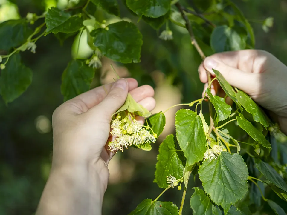 Фото: istockphoto.com