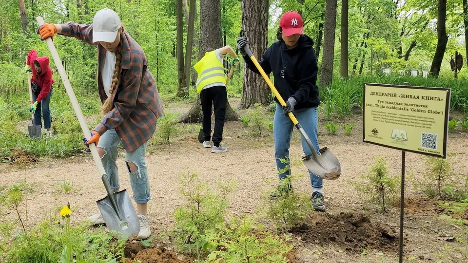 Фото: МедиаБанк Подмосковья/Ксения Пашуто