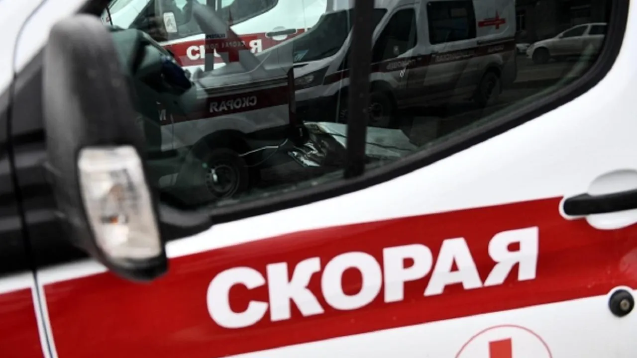 Школьница из Подмосковья выжила после падения с четырнадцатого этажа: ее спас куст сирени