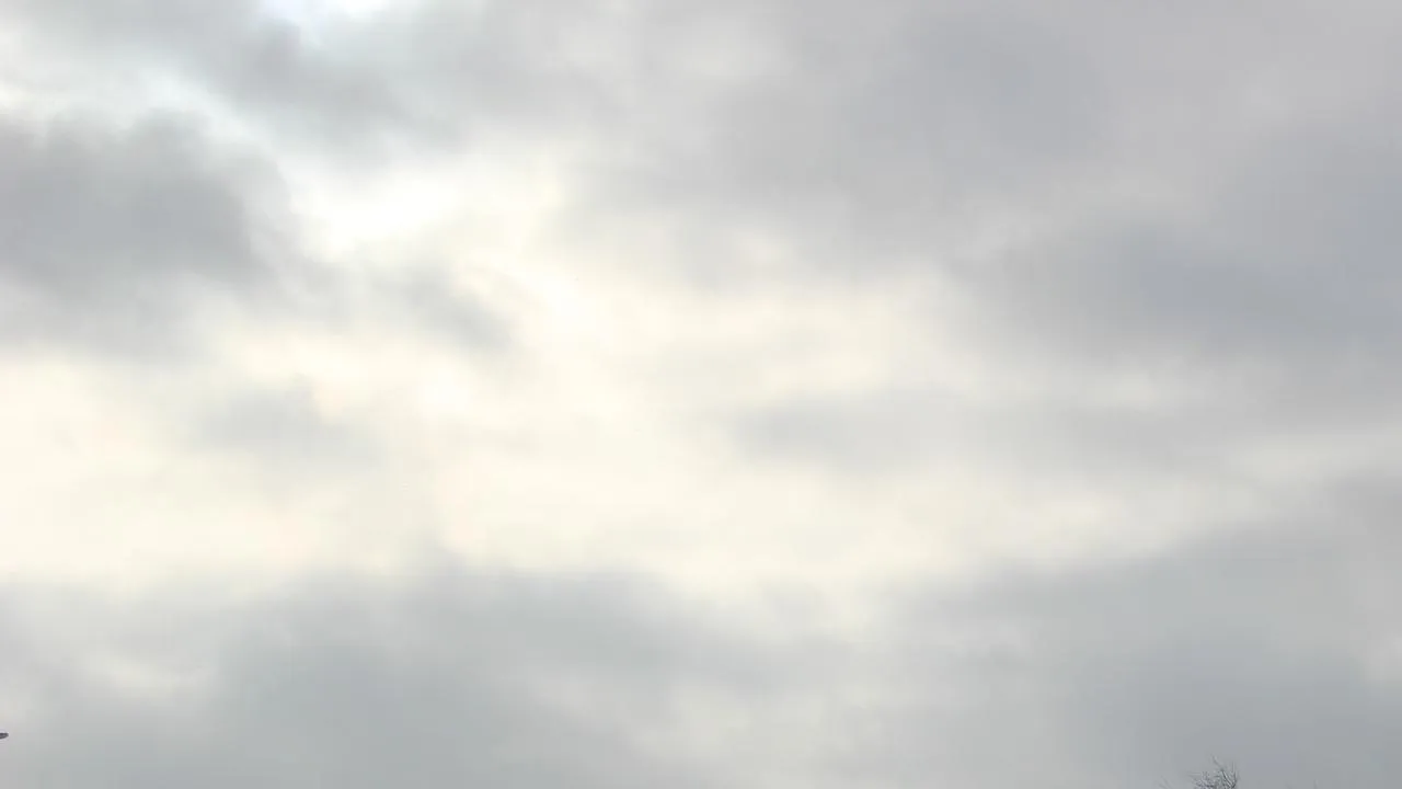 REGIONS/Василий Тремасов