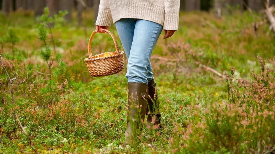 istockphoto.com/dolgachov