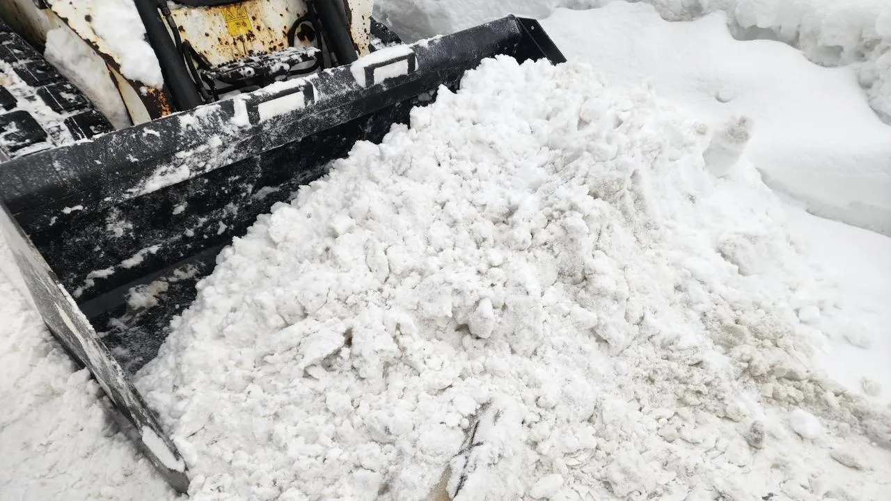 REGIONS/Мария Шигорева