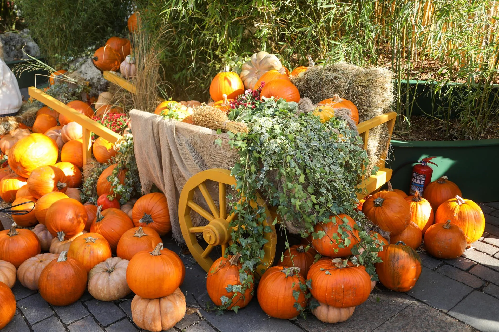 Seleznev Pavel/news.ru