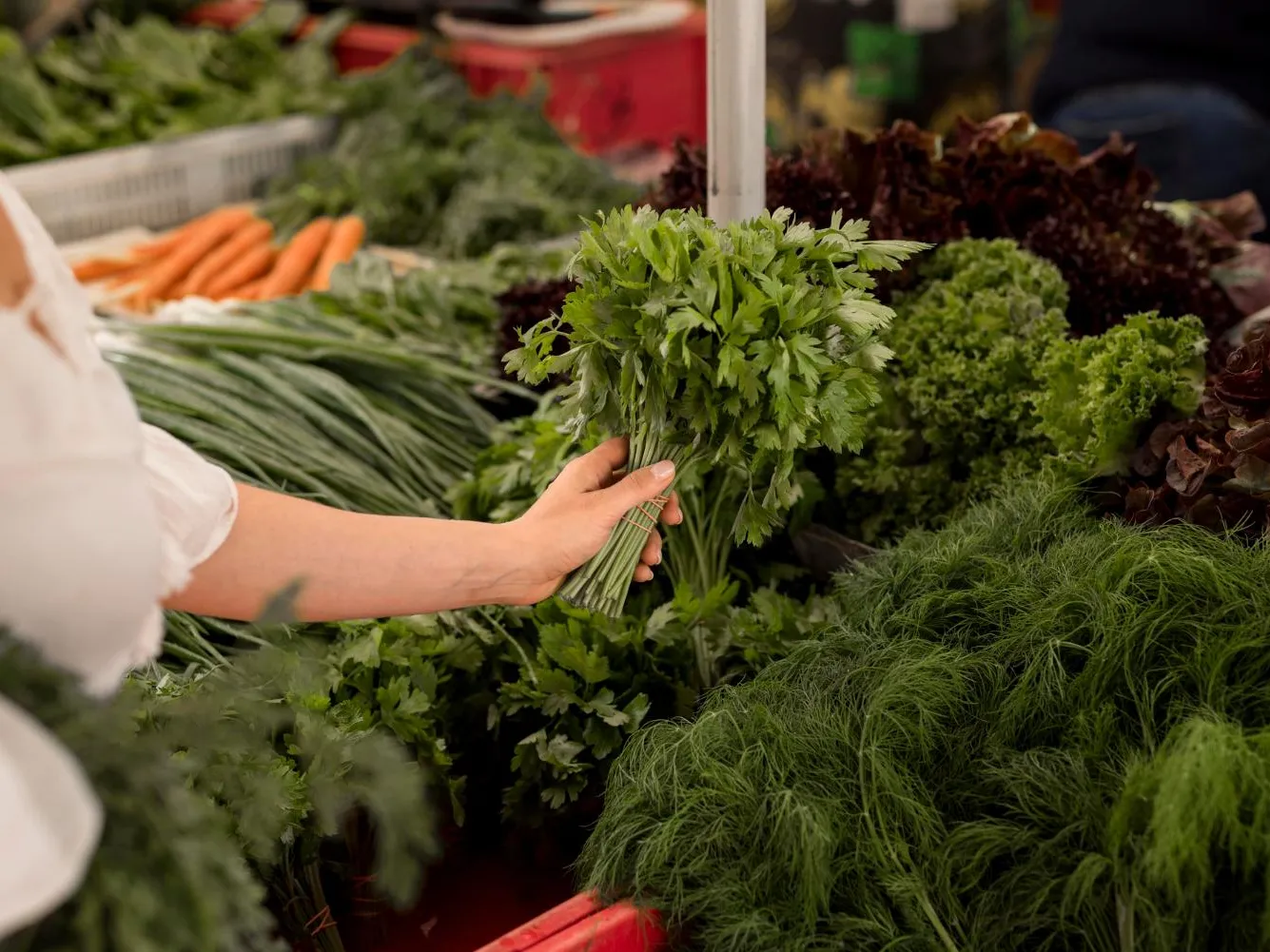 «Законом не возбраняется»: выяснилось, как дачникам можно ежедневно зарабатывать на своей зелени