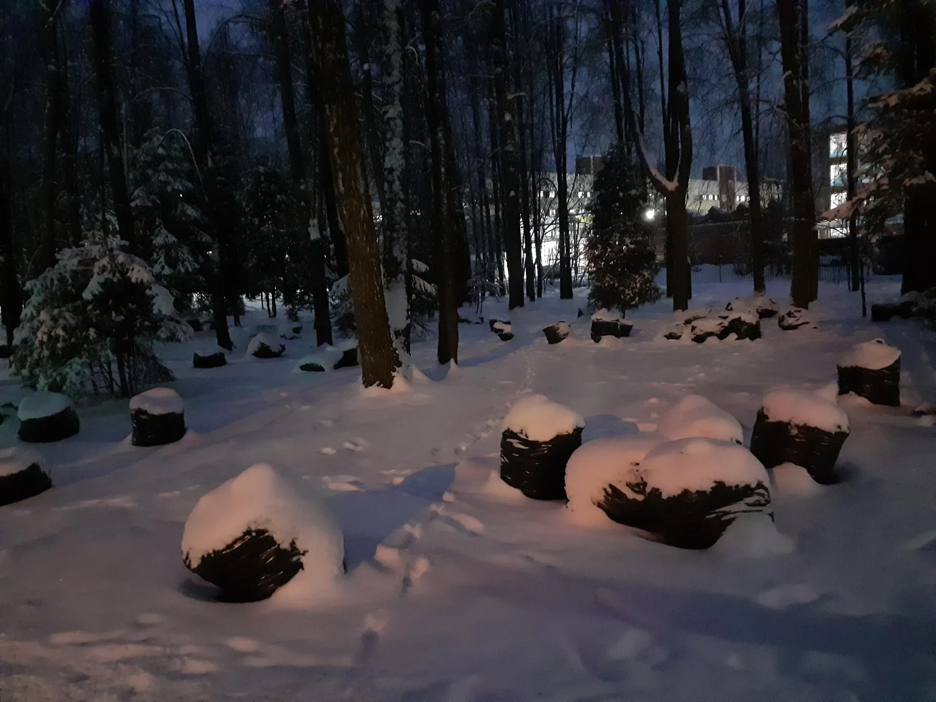 Фото: Подслушано | Дедовск / ВКонтакте