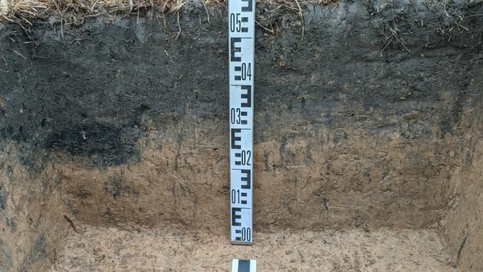 Фото: t.me/GUKnMosreg