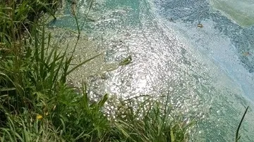 Фото: соцсети