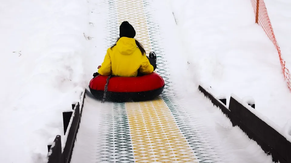 Фото: МедиаБанк Подмосковья/Данила Кирьянов