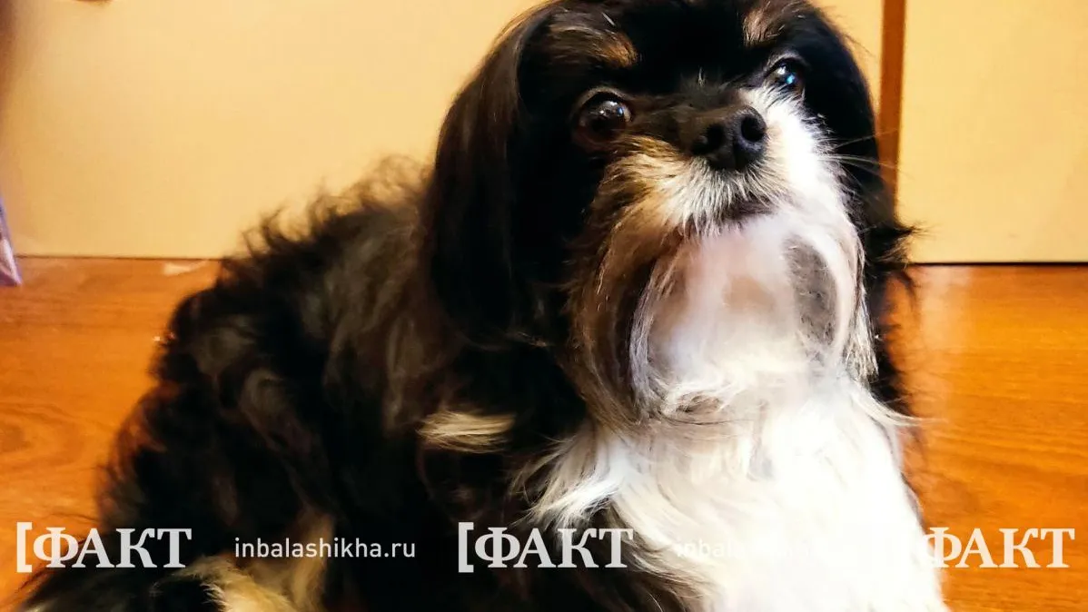 Фото Валентины Соловьевой