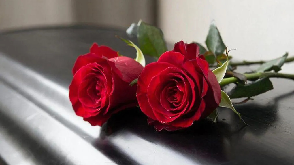 REGIONS/Сгенерировано нейросетью