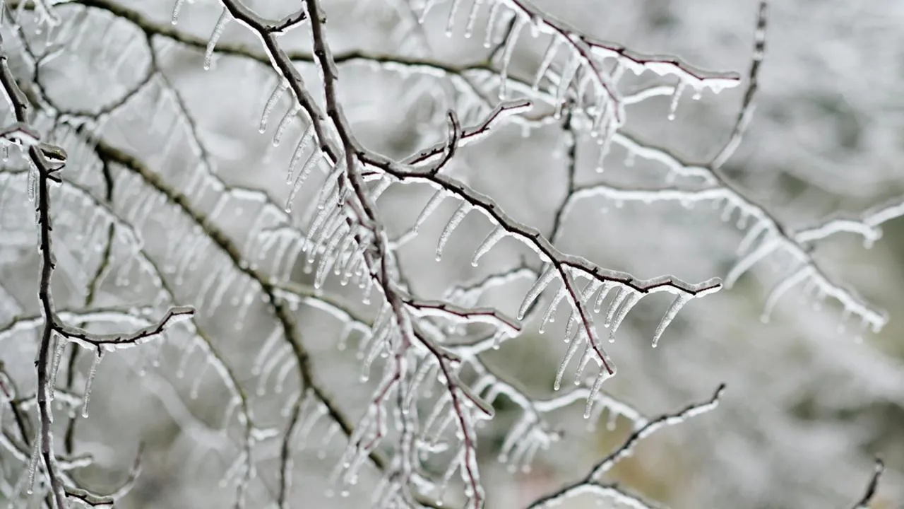 istockphoto.com/donald_gruener