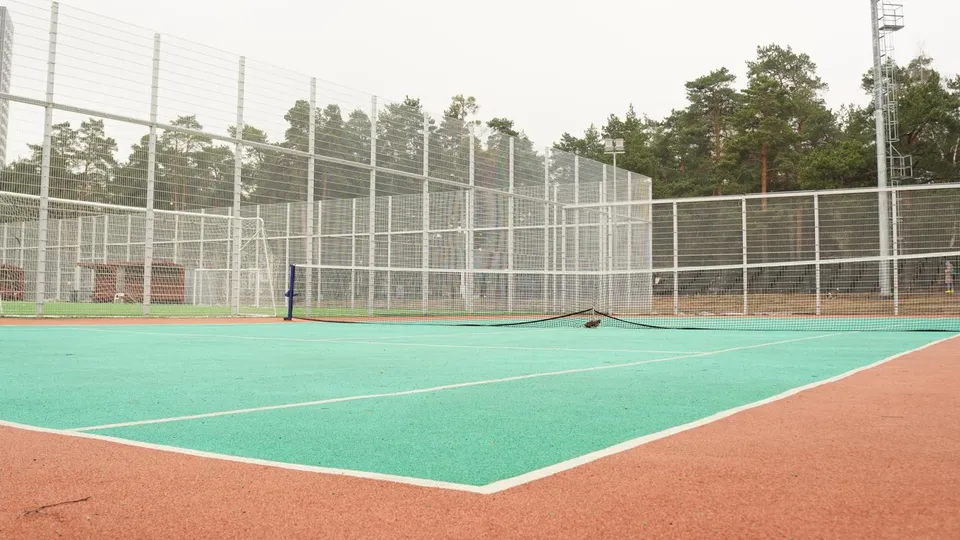 Фото: Дарья Антифьева