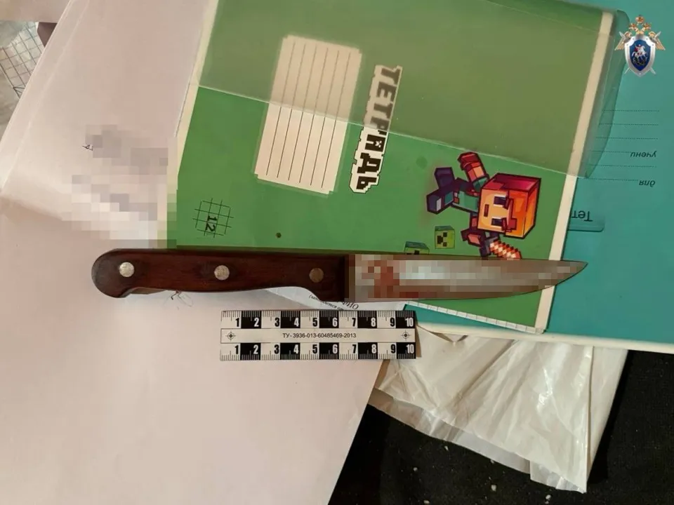 Фото: t.me/gsuskmosobl