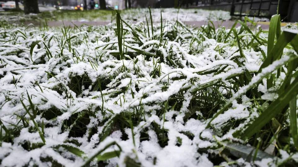 Фото: REGIONS/Роман Малышенко