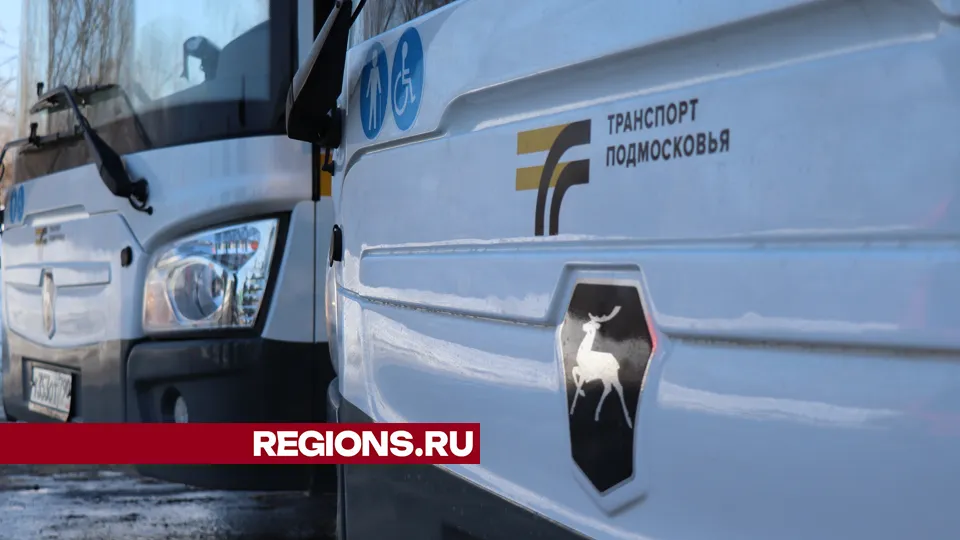 Фото: REGIONS/Василий Тремасов