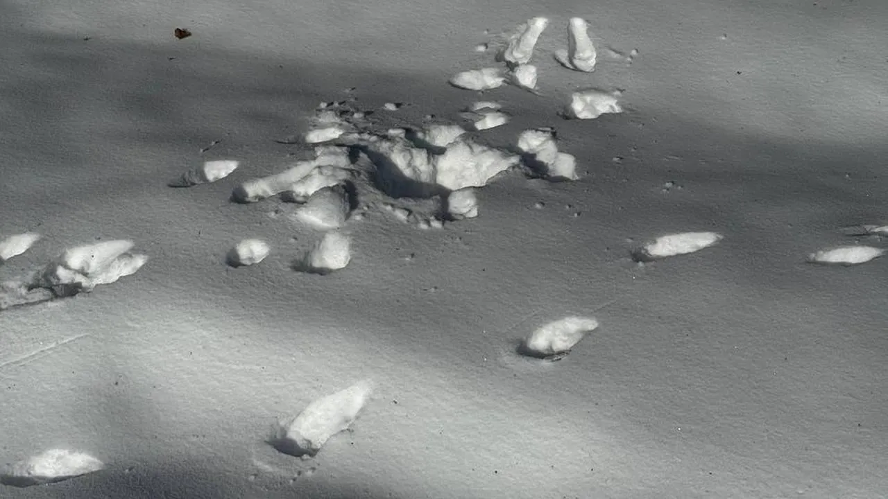 t.me/elk_island_national_park