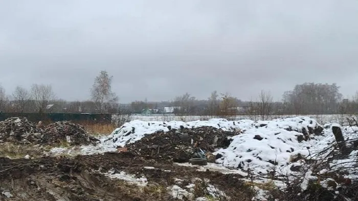 Замусоренный участок. Фото: Минэкологии МО