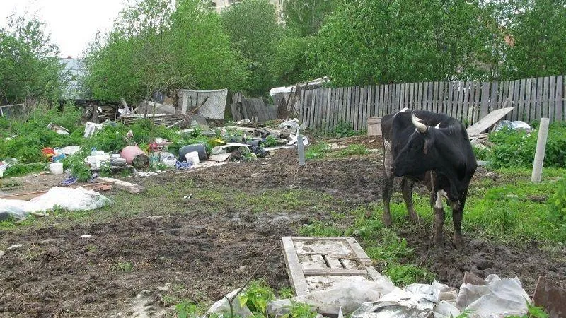 «Вперед». Новости Сергиева Посада / ВКонтакте