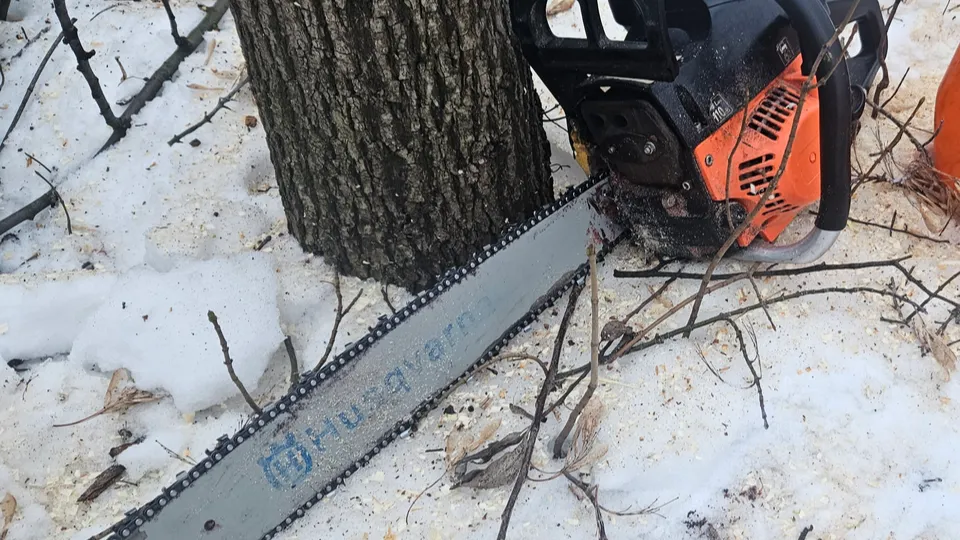 Фото: МедиаБанк Подмосковья/Ольга Вельшикаева