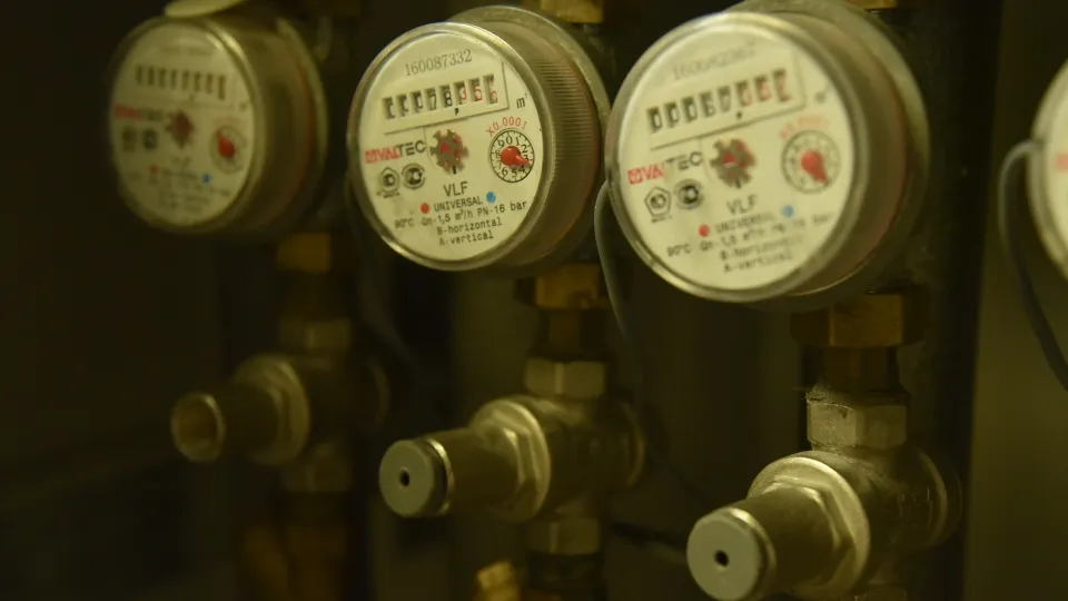 Фото: МедиаБанк Подмосковья/Дарья Соколова