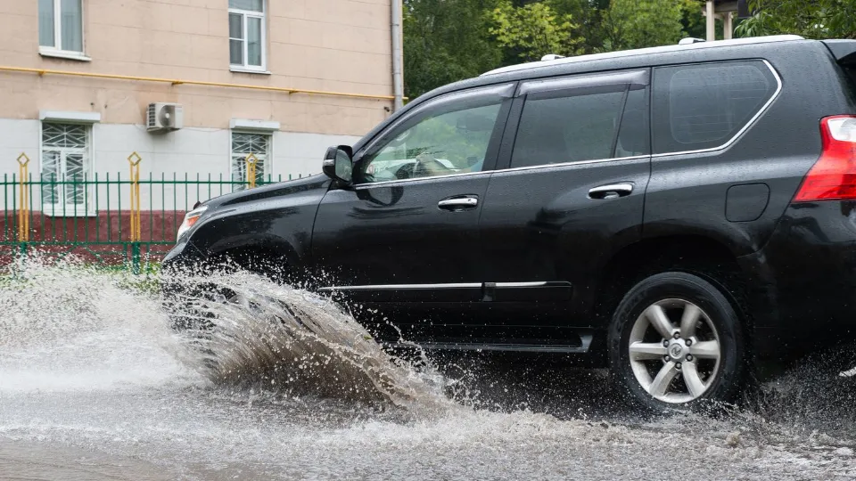 Фото: медиасток.рф