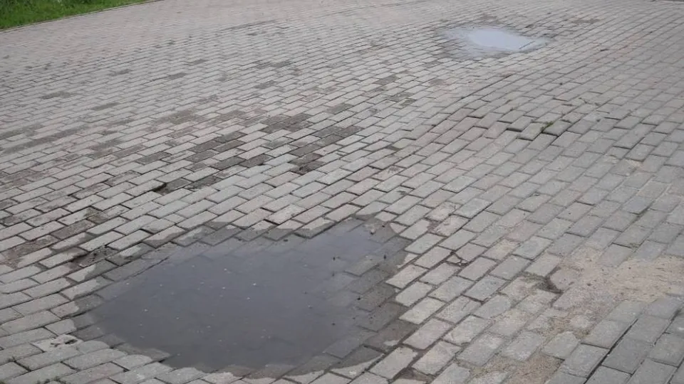 Фото: пресс-служба администрации г.о. Электросталь