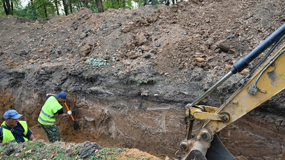 Фото: пресс-служба администрации Ленинского г.о.