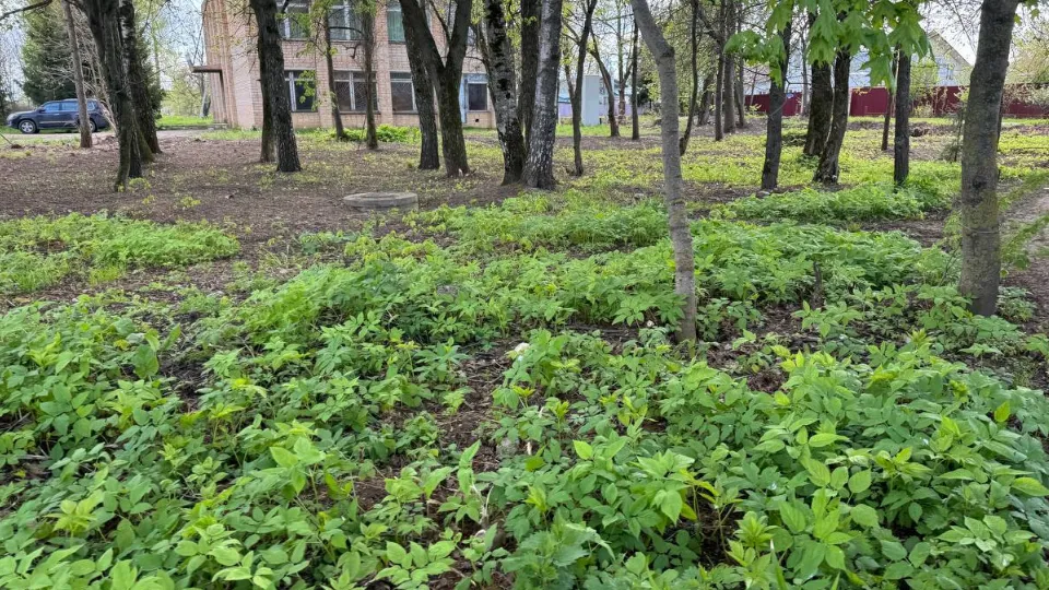 Фото: t.me/adm_mgo