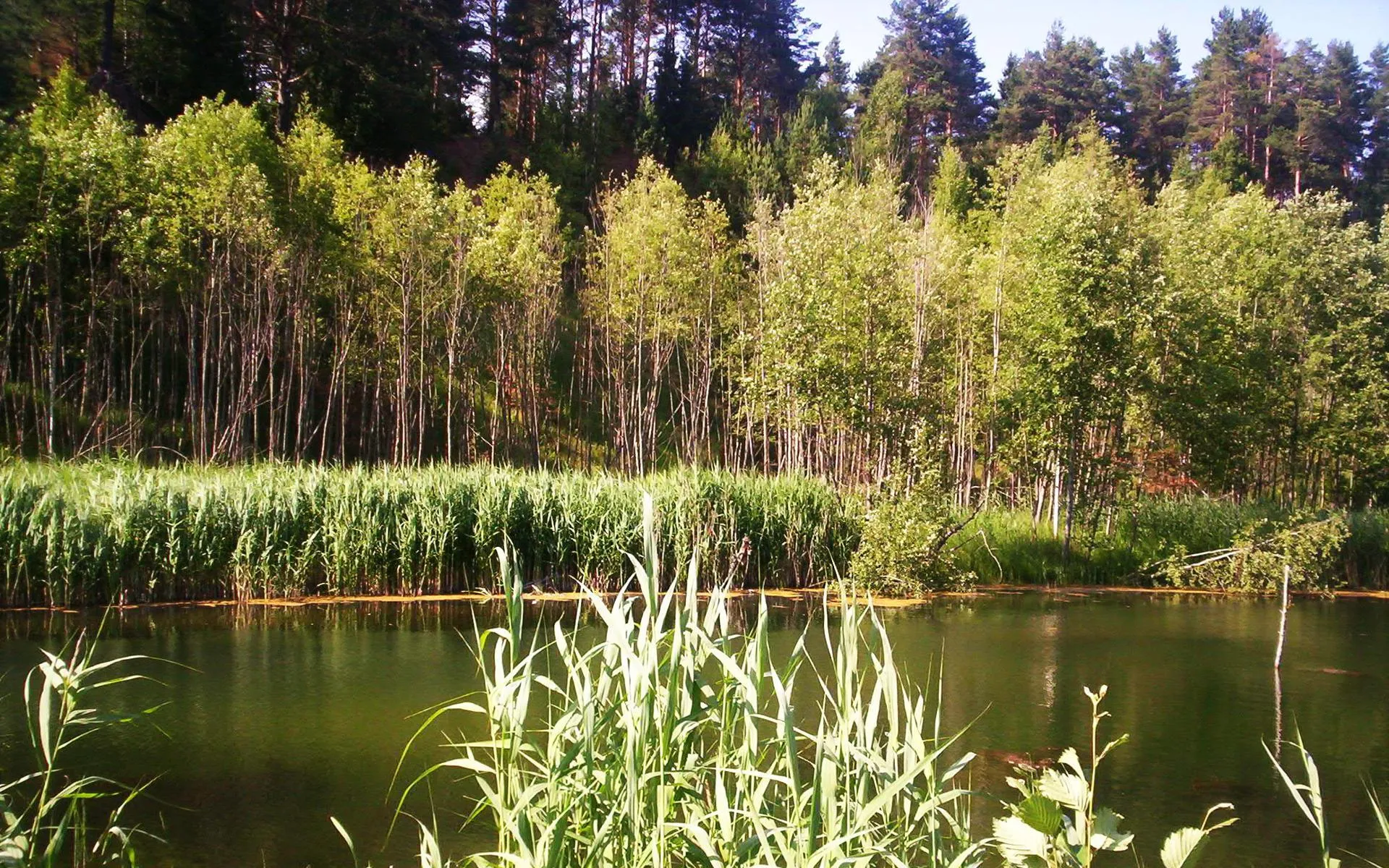 Фото: Татьяна Рунова