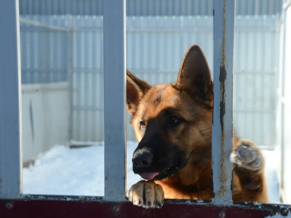 Фото: Нина Соколова