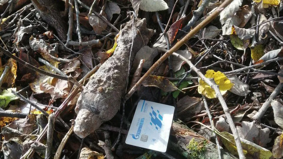 Фото: Администрация г.о. Шаховская