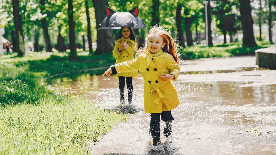 Фото: freepik.com