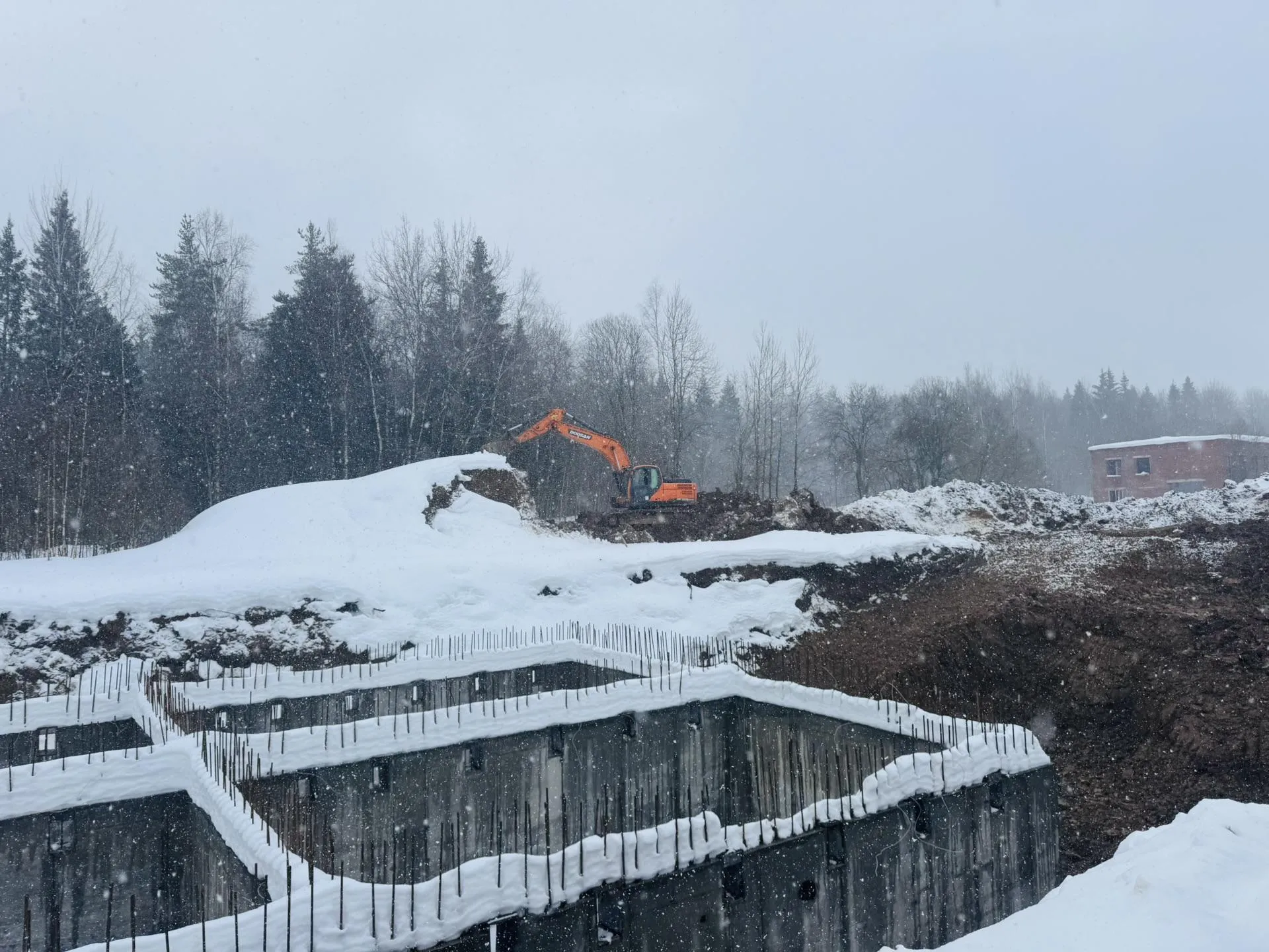 REGIONS/Татьяна Сташенко