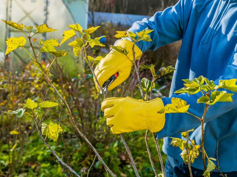 Фото: istockphoto.com/Olga Seifutdinova