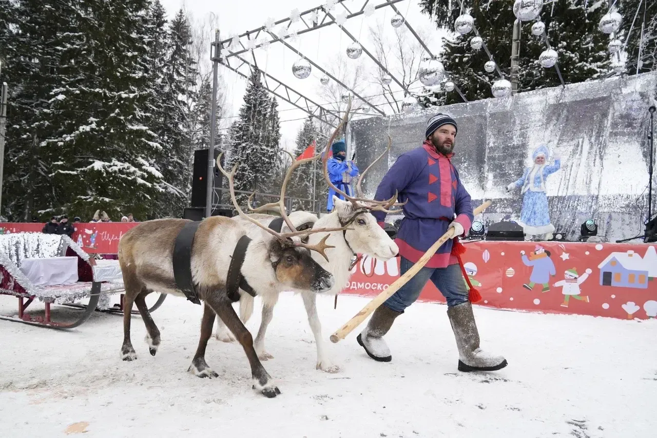 Автор фото: Дмитрий Белицкий