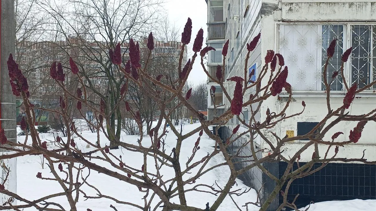 REGIONS/Олег Книжник