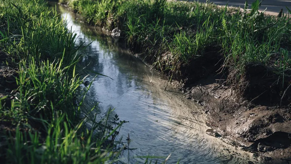 Фото: пресс-служба администрации г.о. Щелково