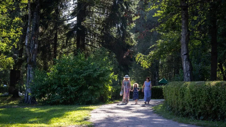 Фото: Telegram/Музей «Мелихово»