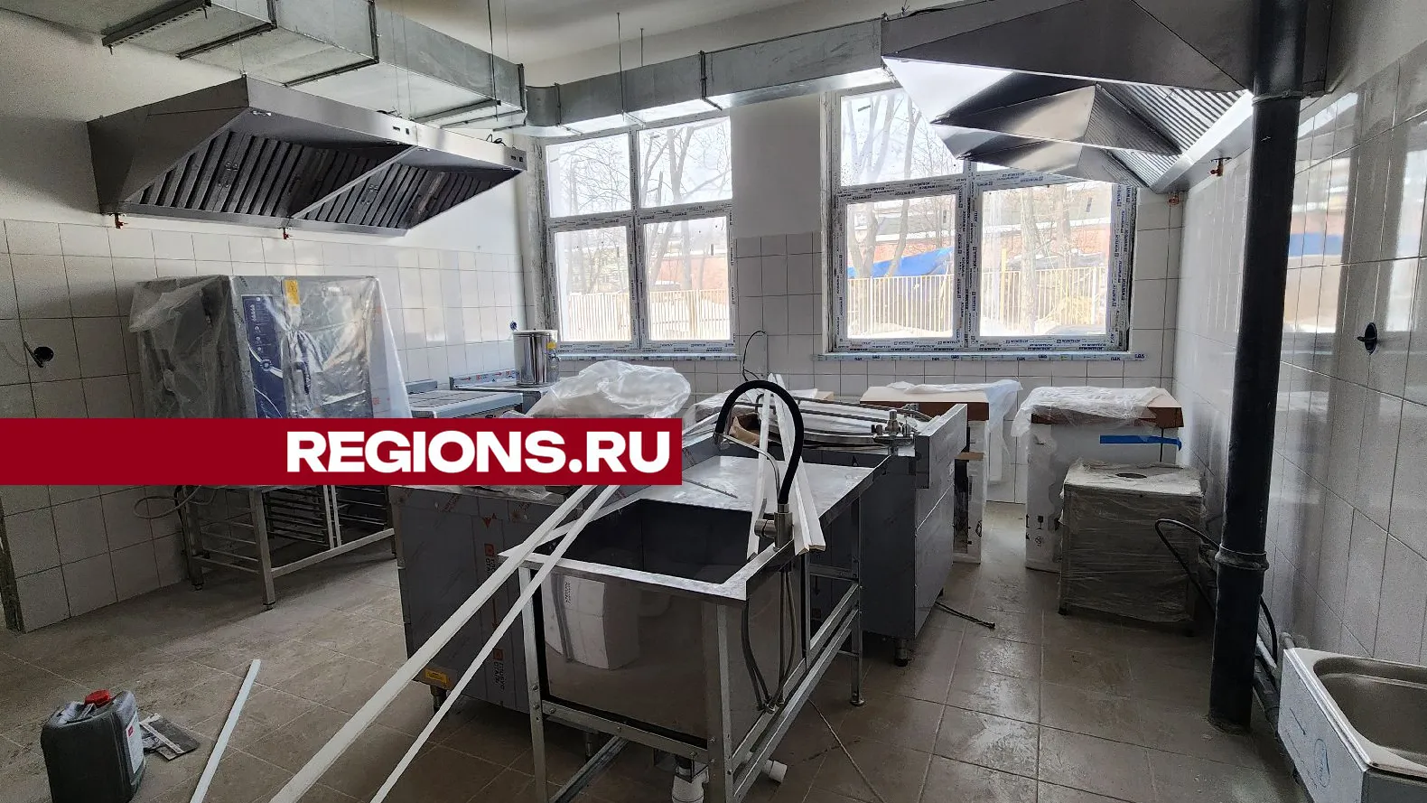 Фото: Галина Добрынина