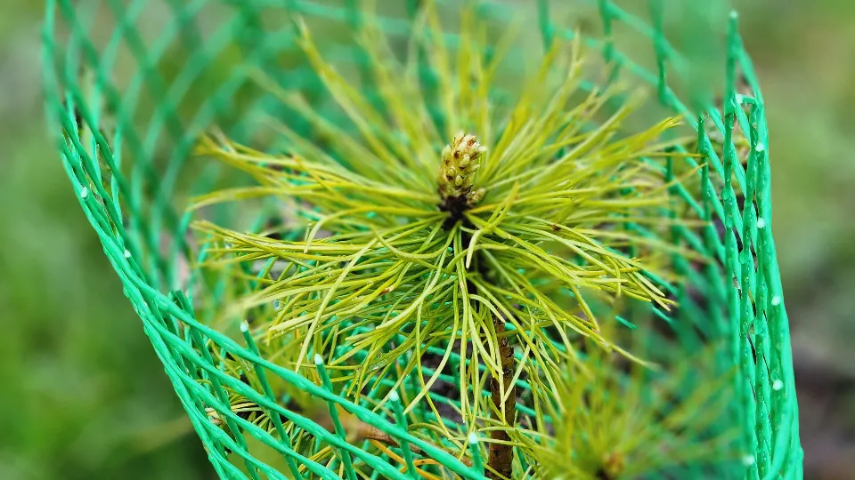 Фото: МедиаБанк Подмосковья/Екатерина Данилина